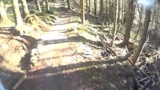 Marin trail
