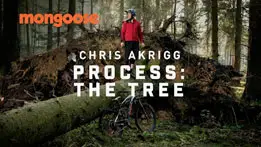 Chris Akrigg Process: The Tree