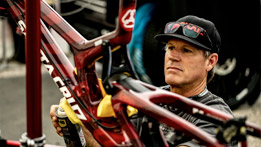 The Syndicate - Mixed Opinions 29 or 27.5?!