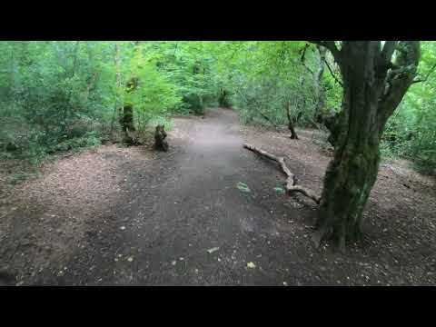 GoPro Hero 7 Black Edition - 4k 60 FPS - Lilford Woods / Park Leigh Footage - Ultra HD