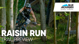 Raisin Run - Blue Mountain Bike Park