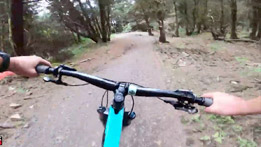 BikePark Wales | Trail Video -  Kermit