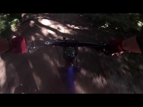 MTB Skills