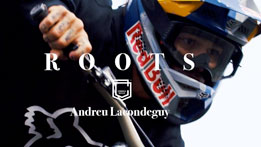 Roots - Andreu Lacondeguy