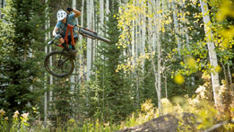 Stumpjumper x Cody Kelley