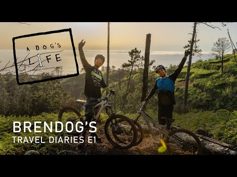 A Dogs Life Season 2 - Madeira Island Brendan Fairclough & Olly Wilkins