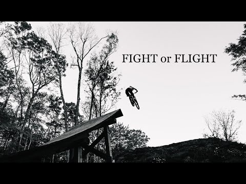 Laura Slavin - Fight or Flight