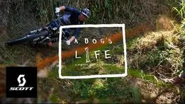 "A Dog's Life" Season 2 Ep. 4 - Jamaican Vacation!