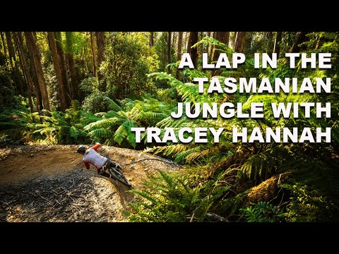 A Lap In The Tasmanian Jungle With Tracey Hannah