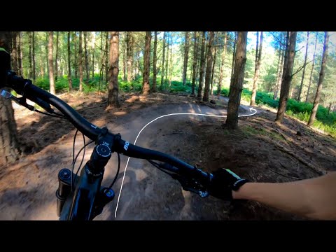This is The Flattest and the Best Natural MTB Trail In East Anglia! | Tunstall Forest Viking Trail