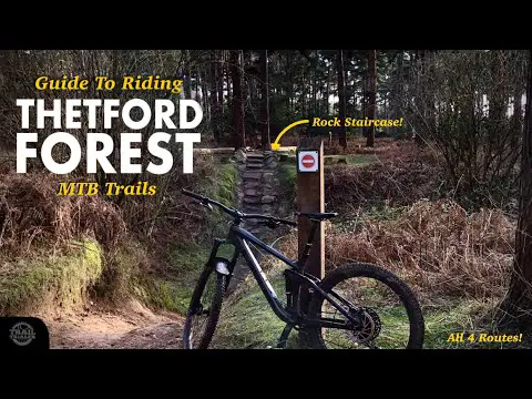 A Guide To Riding Thetford Forest MTB Trails
