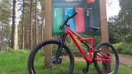 Mountain Biking in Thetford Forest