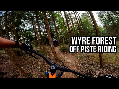 Riding The Wyre Forest Off-Piste Mountain Biking Trails