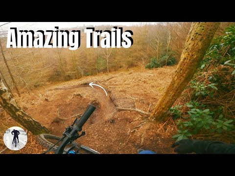 Hanchurch Woods Has Amazing Off Piste MTB Trails