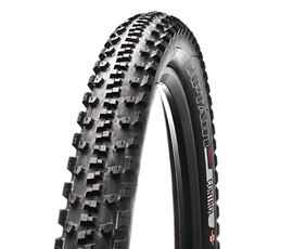 Specialized The Captain Tyre