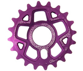 DMR Spin Chain Ring