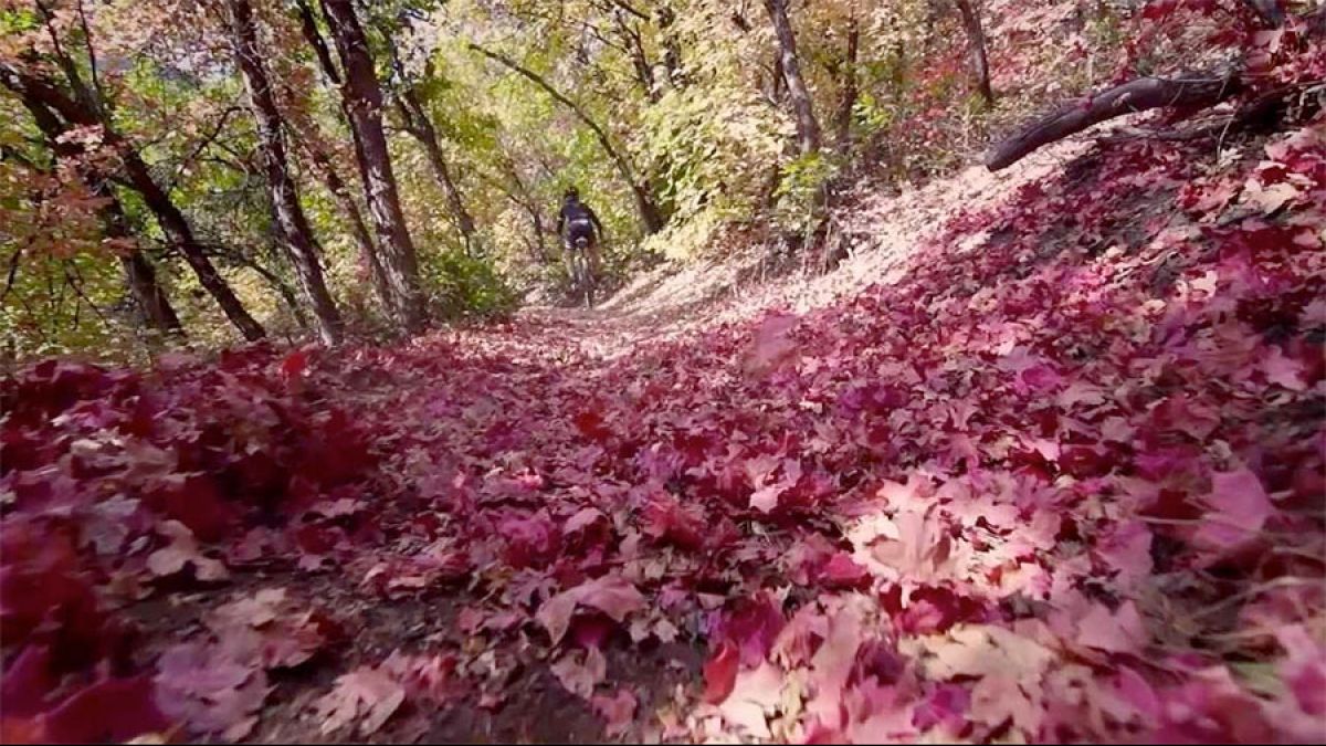 The Oleary Theory - Armtrong Trail, Utah