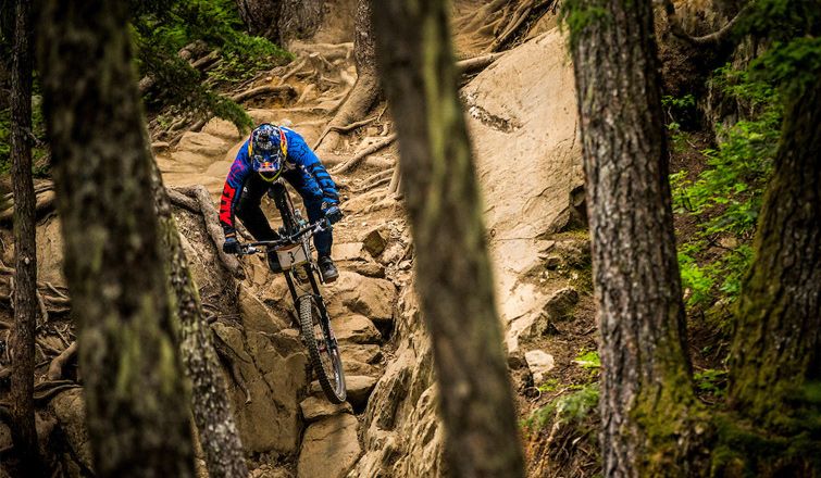 Steps to the Top - Marcelo Gutierrez