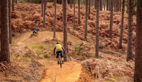 New Freeride Mountain Bike Area Planned For Swinley Forest