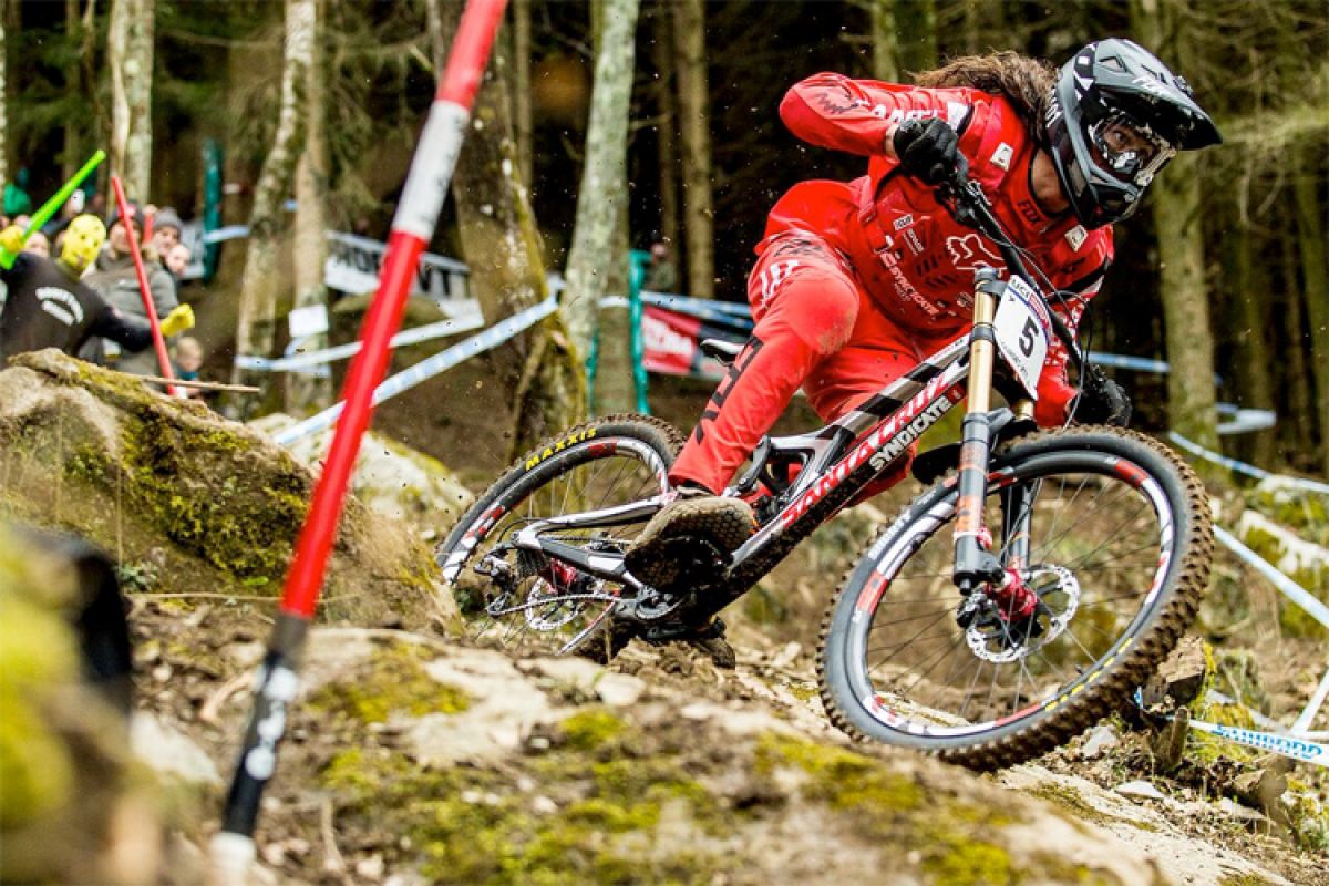 THE SYNDICATE 2016 - Episode 1 - Lourdes