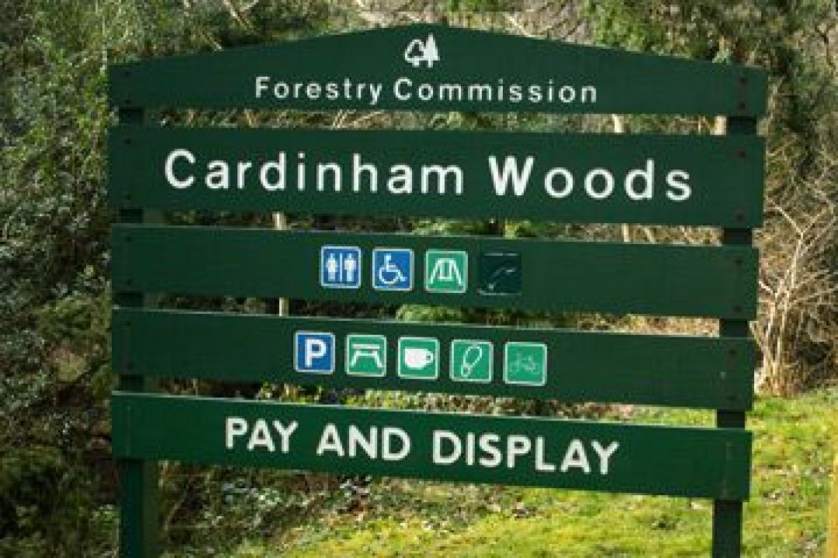 Walkers claim Mountain Bikers are ruining Bodmin woods