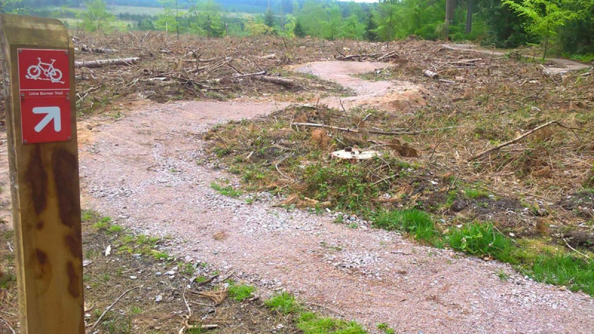 New Trail Sections at Thetford Forest