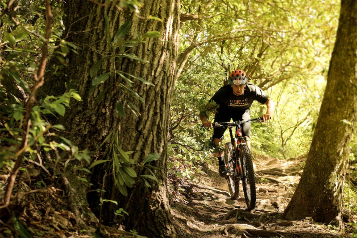 Chasing Trail: Neko Mulally - Video