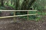 New Mountain Bike Trails planned for Leigh Woods