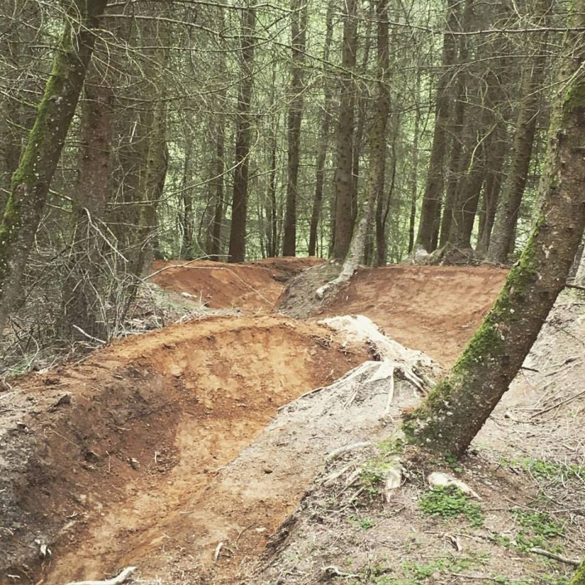 British Cycling Downhill National Champs 2016