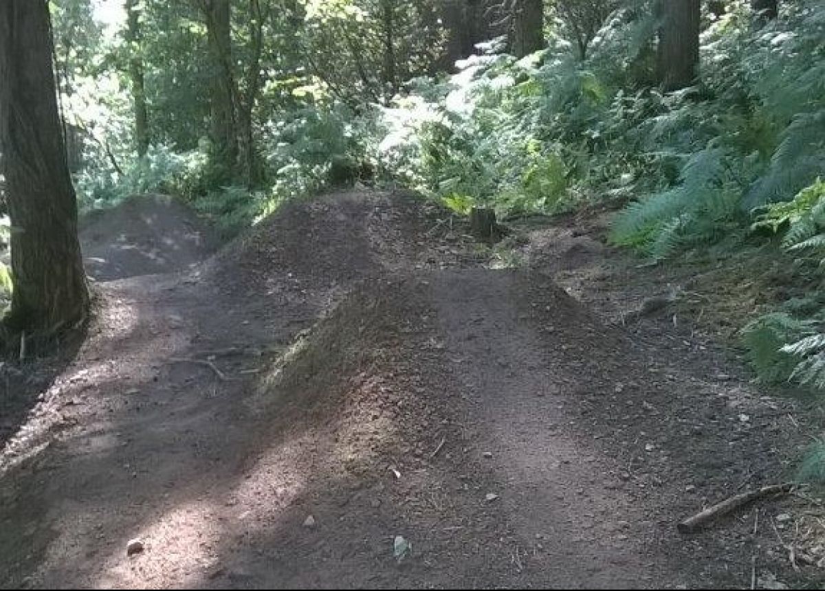 Work starts to remove unofficial mountain bike trails