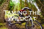 Taming the Wildcat