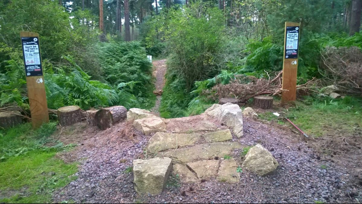 New 'Bracken Pit' Trail Section opened at Thetford Forest