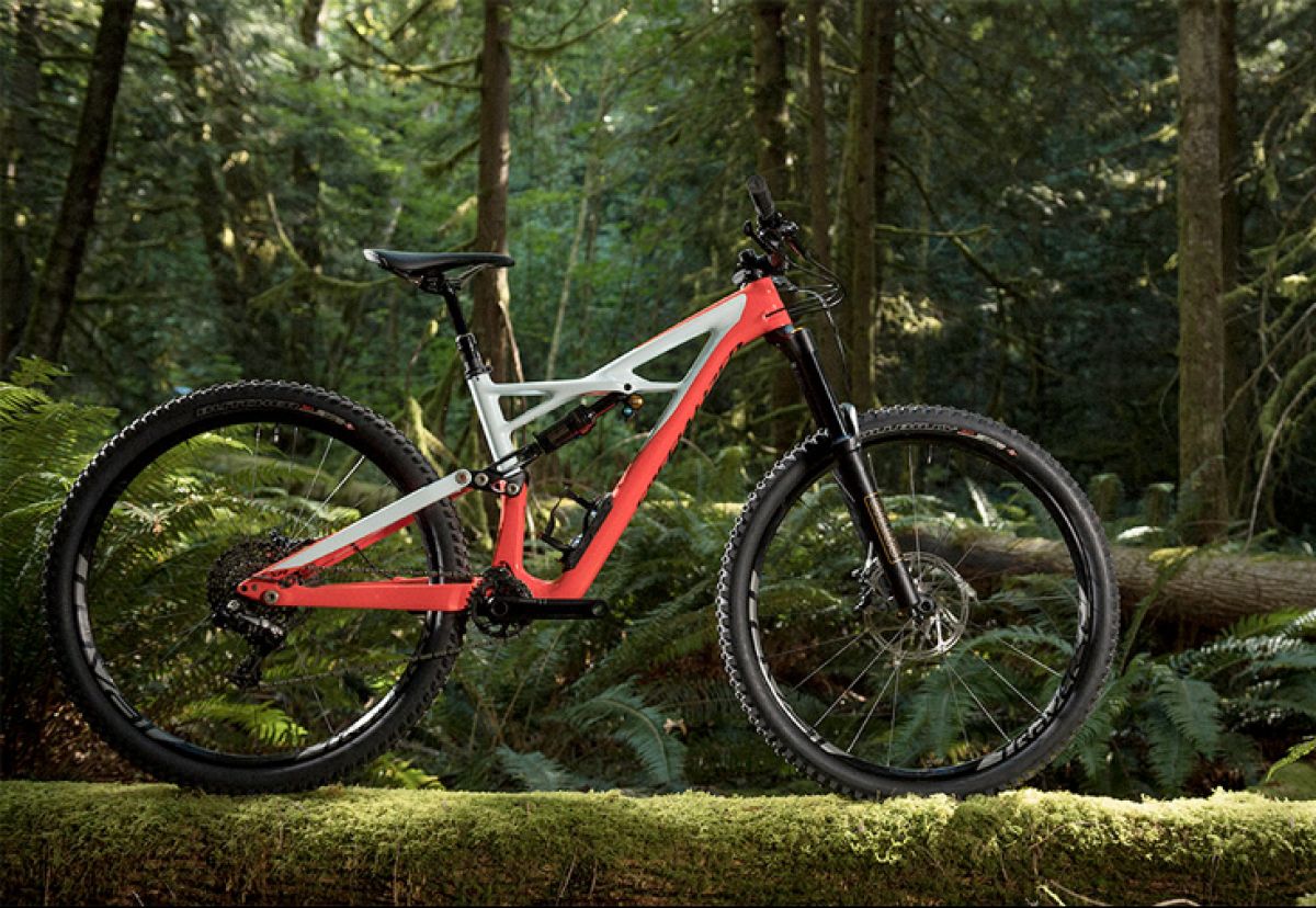 2017  Specialized Enduro gets major overhaul