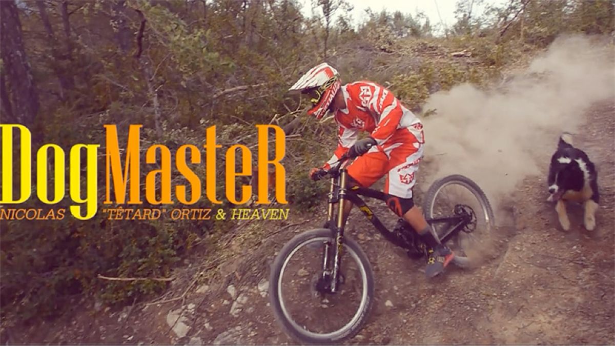 The fastest trail dog ever?