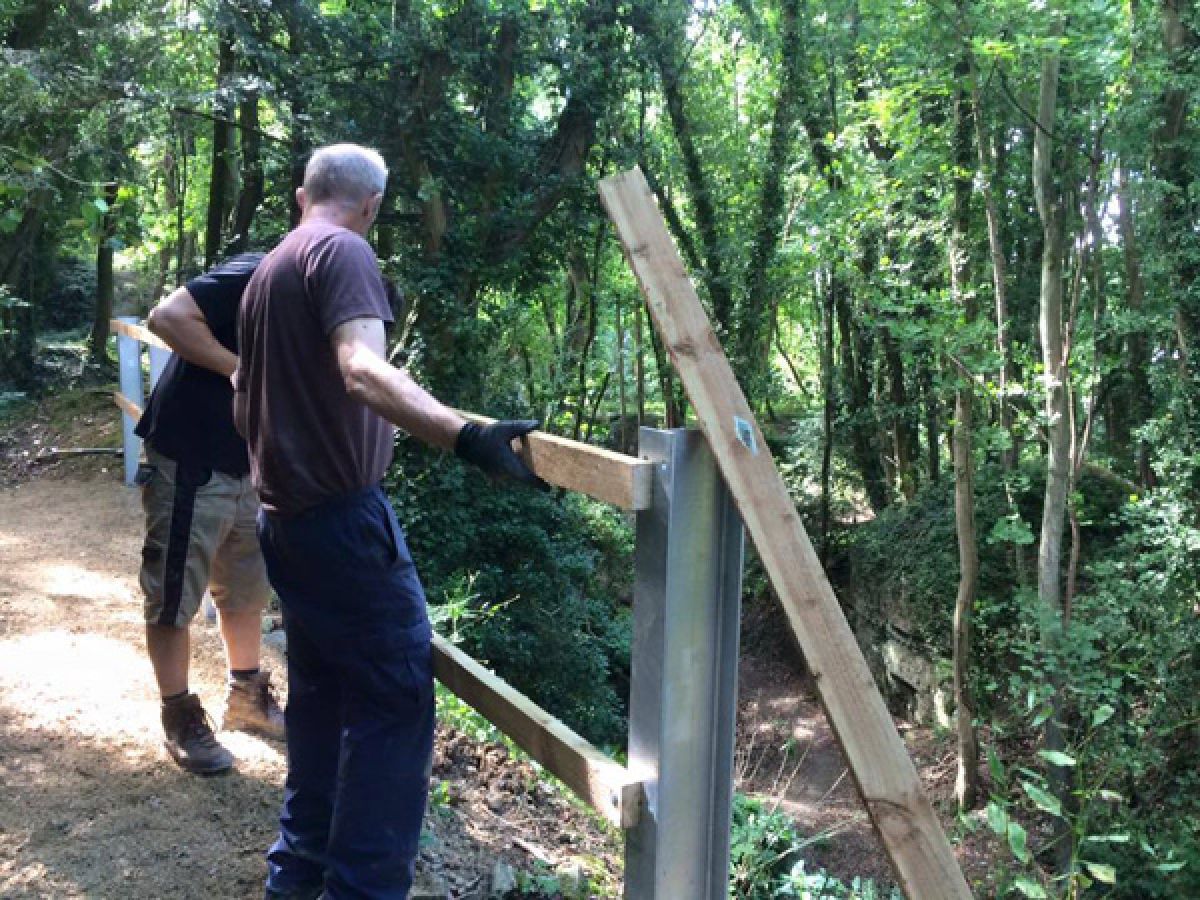Newbridge Park Mountain Bike Trails Re-Open