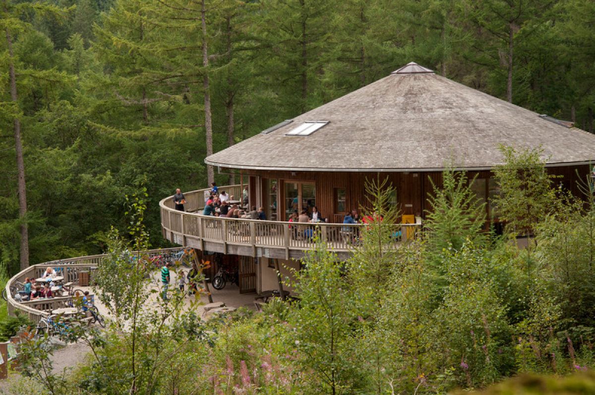 25 years of mountain biking at Coed y Brenin