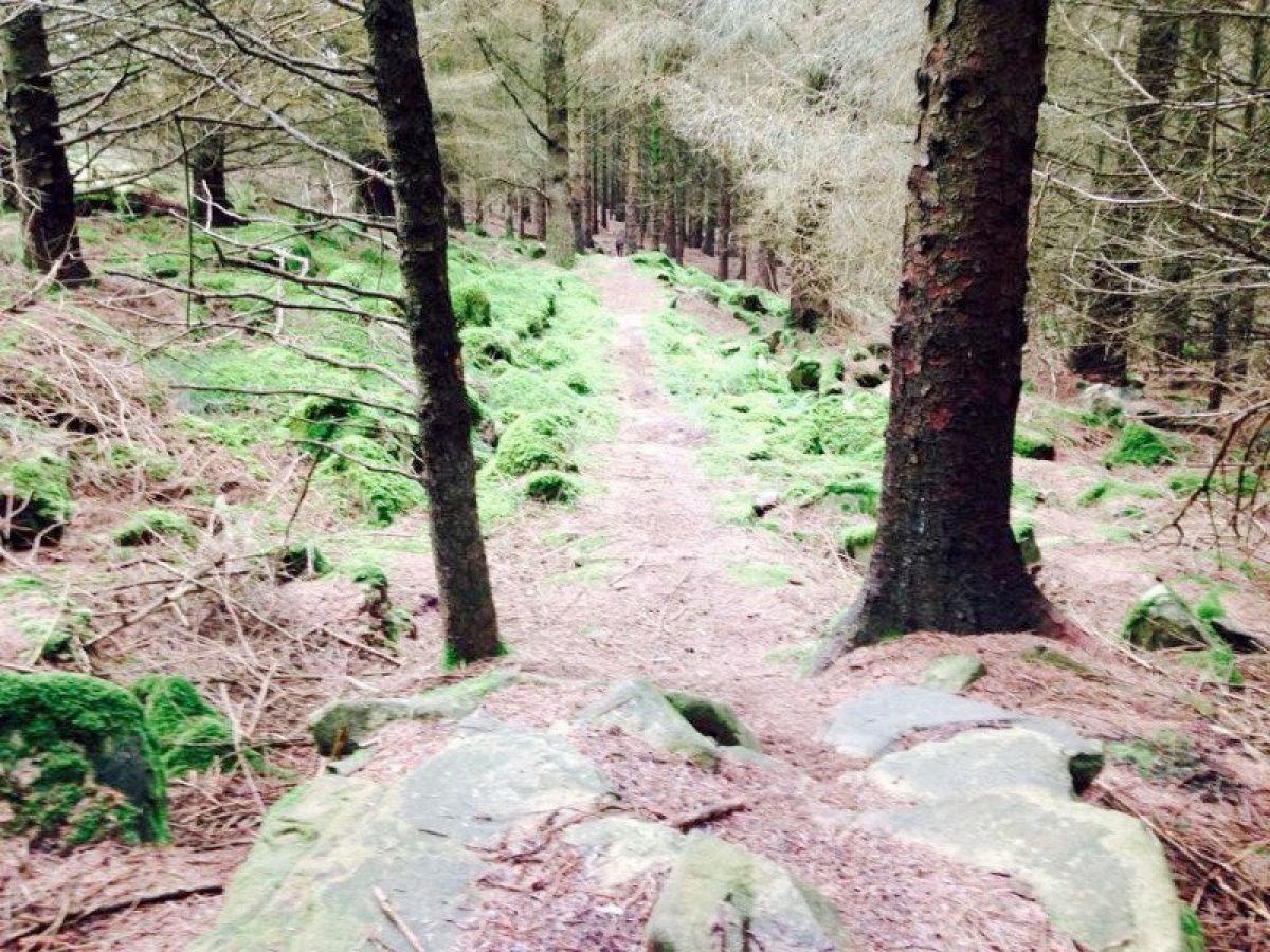 New uplift service to open in North Wales