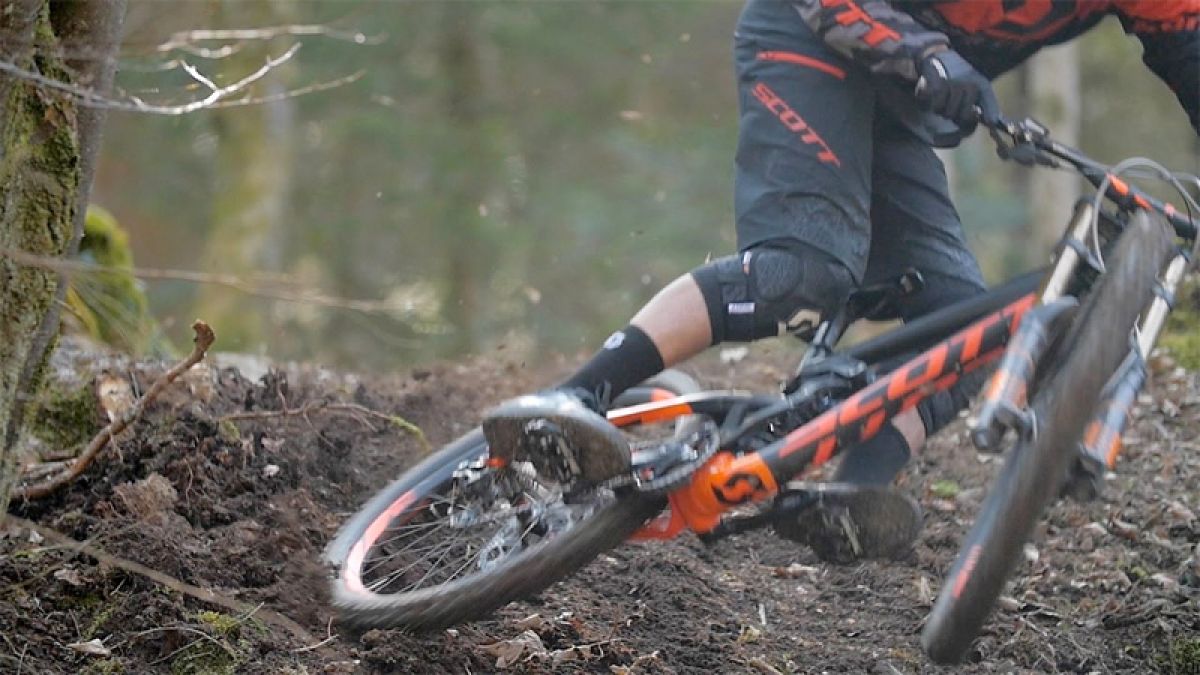 Fall Time Leafy Roostin' with ShapeRideShoot!