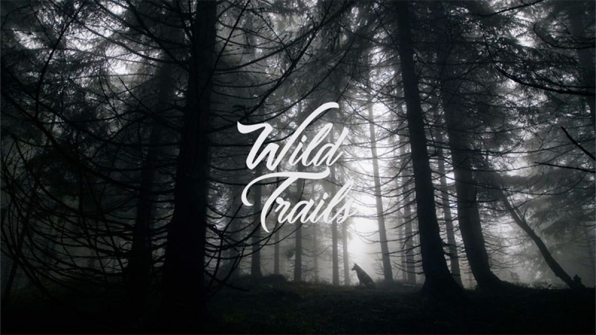 WILD TRAILS