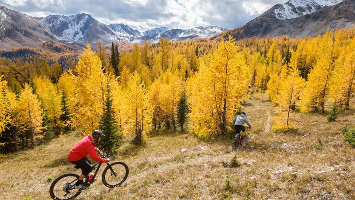 Trail Hunter - Weekend State of Mind