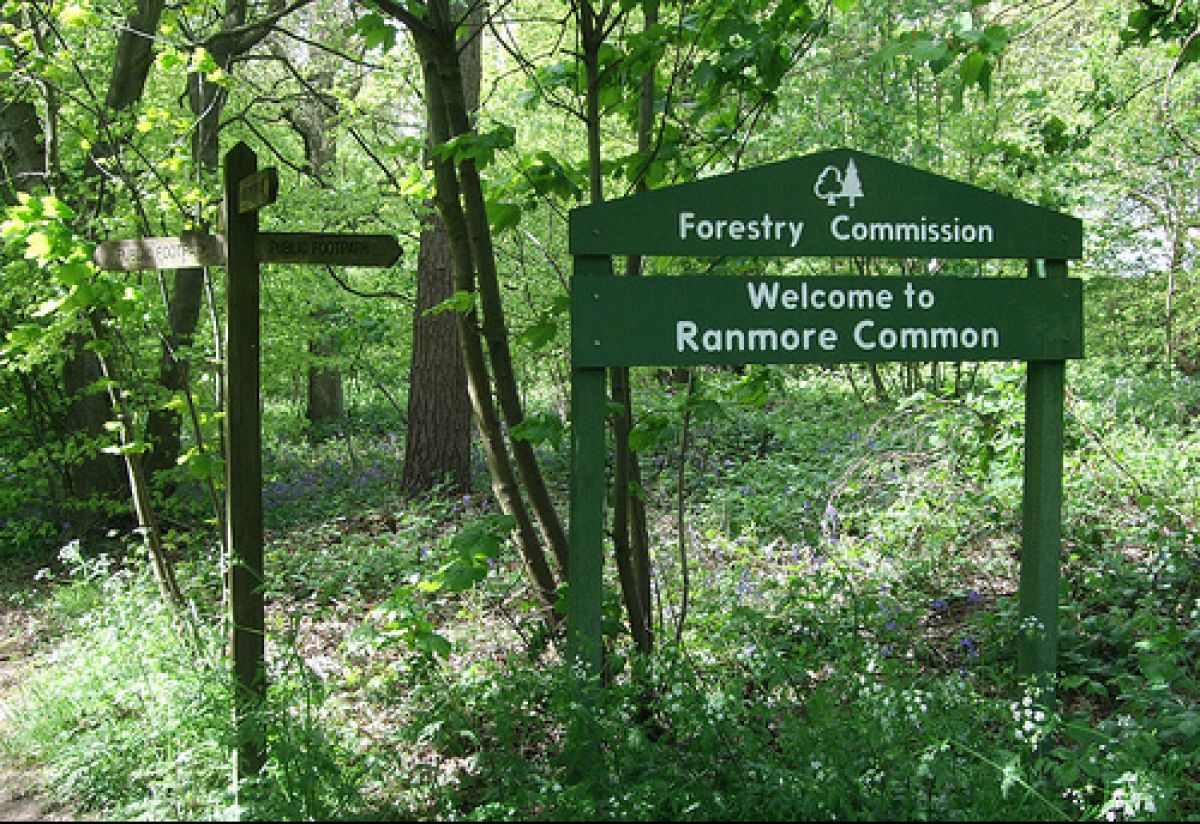 Unofficial MTB Trails cause trail conflict in Surrey Hills