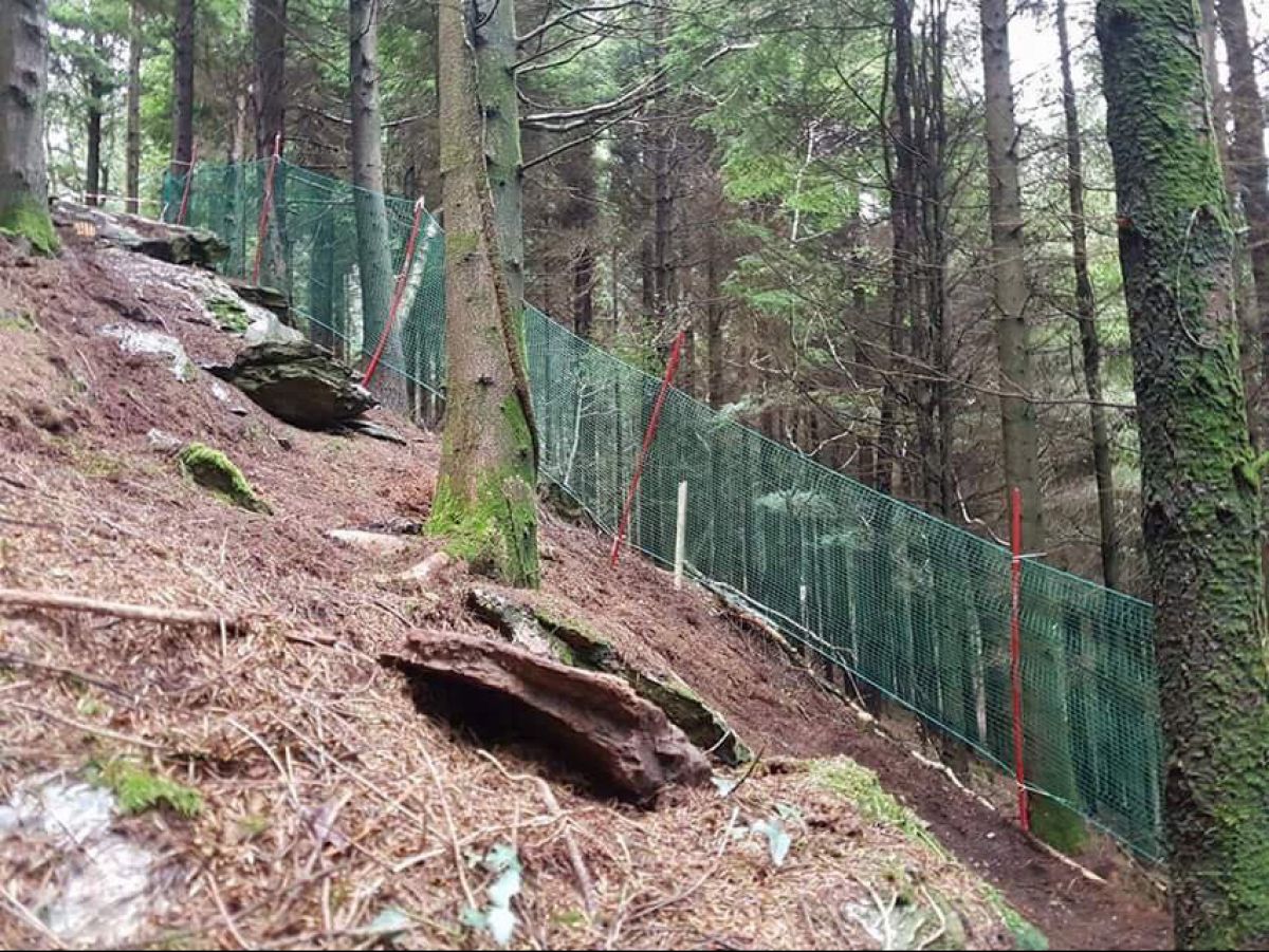 New Downhill trail at Gawton Gravity Hub