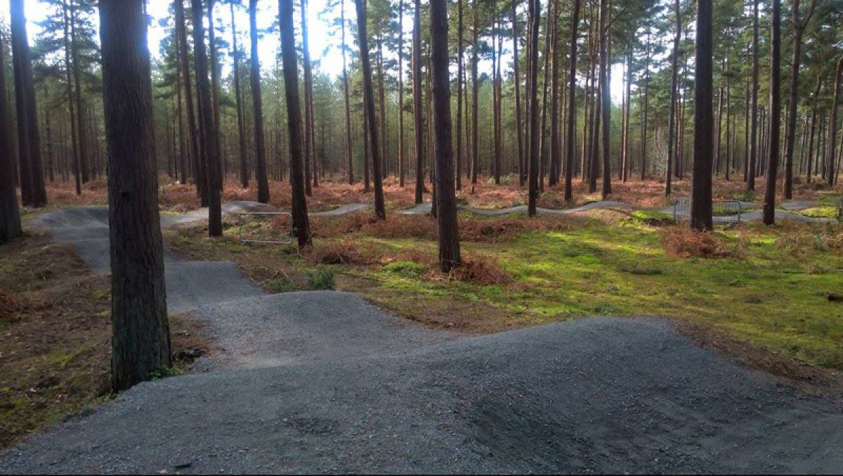 Thetford Forest Pumptrack Reopened