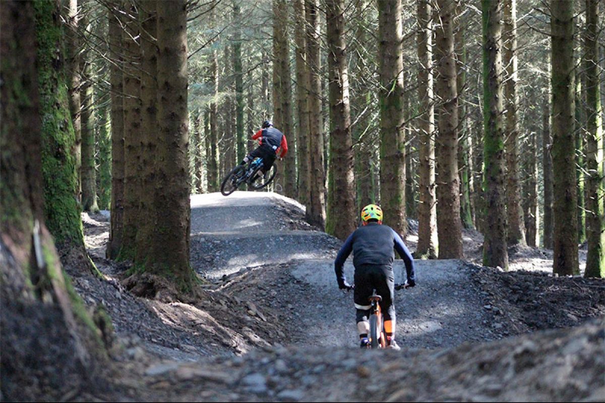 Bikepark Wales opens new blue plus trail!