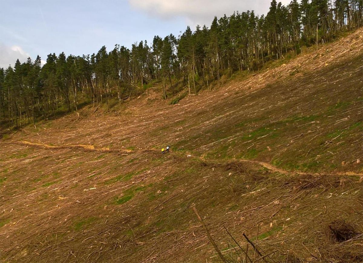 Twrch Trail at Cwmcarn to reopen fully soon!