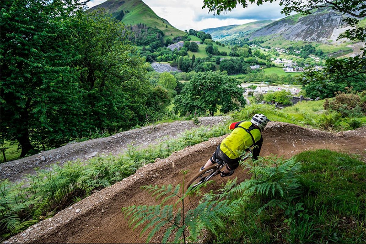 Ride Reddy McRedface at Revolution Bike Park