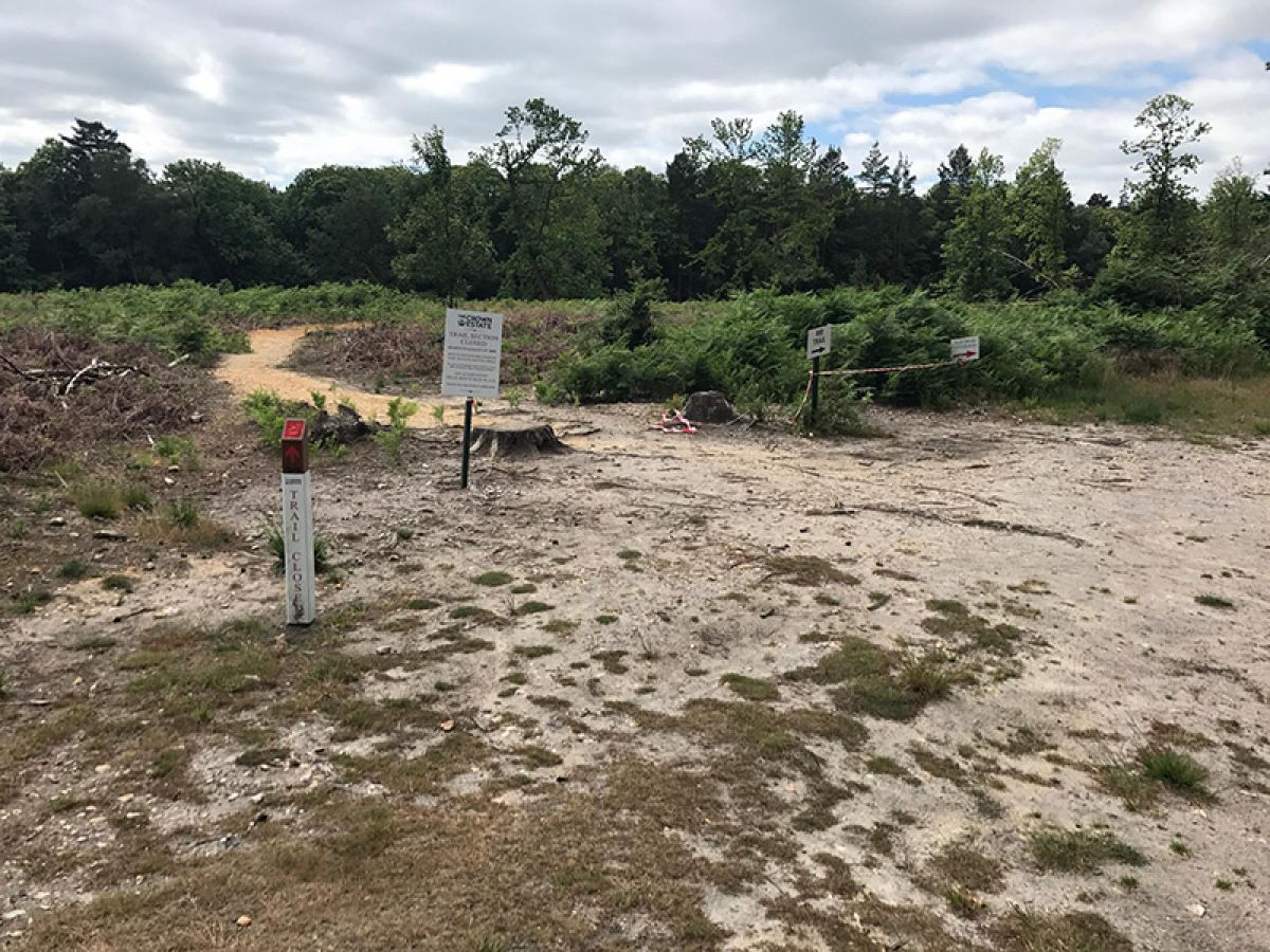 Swinley Forest Re-opens Tank Traps and Blue 14