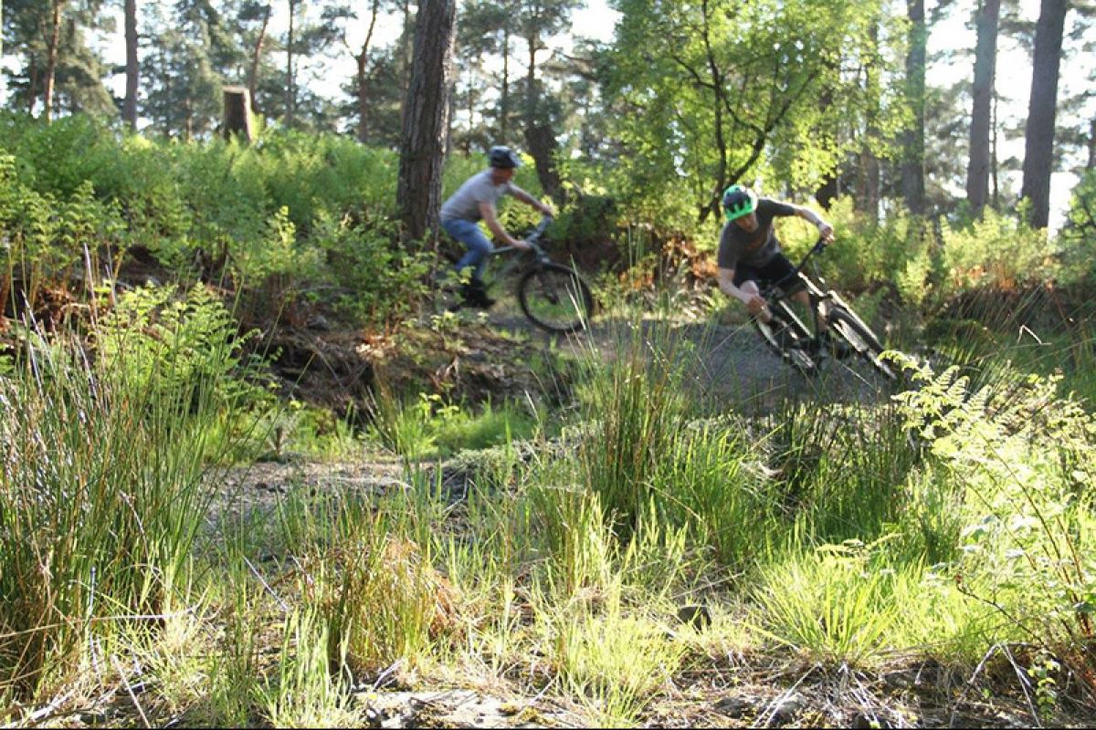 New Freeride mountain bike trail opens in Falkirk