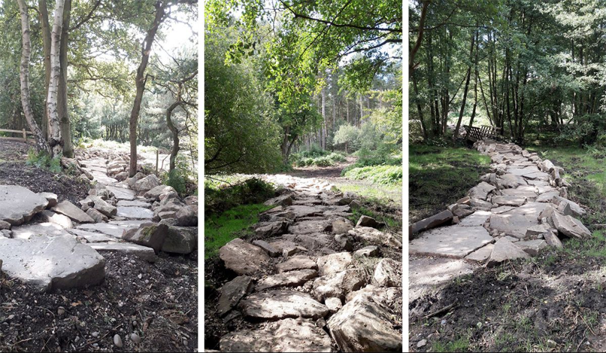 New rock garden trail section opened at Cannock Chase