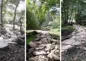 New rock garden trail section opened at Cannock Chase